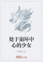 处于崩坏中心的少女游戏