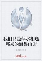 我们萍水相逢是什么歌