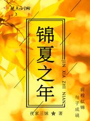夏锦年