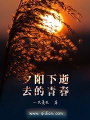 夕阳是我们逝去的青春