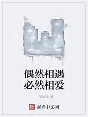 偶然相遇是什么意思