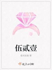 伍贰壹什么意思