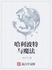 哈利波特与魔法石是哪一年的电影