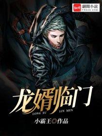 赘婿当道陈龙视频全集