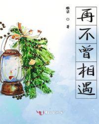 假如人生不曾相遇