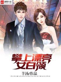 攀上漂亮的女局长之后951章