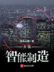 大国智能制造txt奇书网