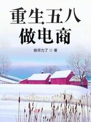 重生主角做电商平台的