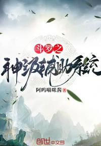 斗罗之神级辅助系统林风