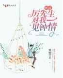 听说历先生对我一见终情资源