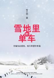 雪地自行车在公路上好骑吗