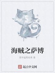 海贼无双4萨博