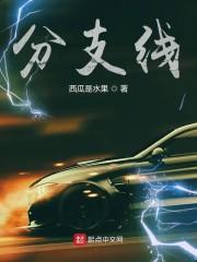 分支线截面积不小于