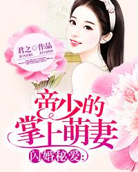 闪婚蜜爱帝少宠溺天后妻