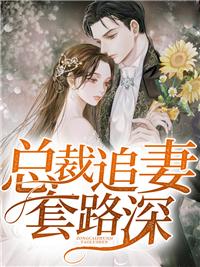 一胎二宝总裁追妻套路深