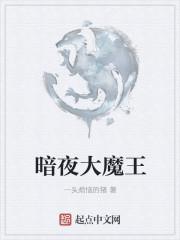 暗夜魔王怎么过