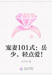 宠妻101式：岳少，轻点爱！