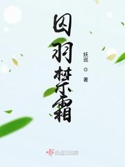 囚羽禁霜