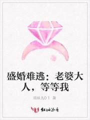 盛婚难逃：老婆大人，等等我