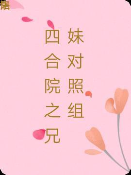 四合院之兄妹对照组