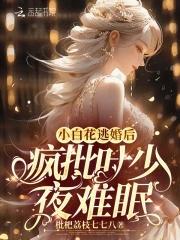 小白花逃婚后，疯批叶少夜难眠