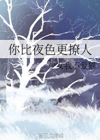 你比夜色更撩人